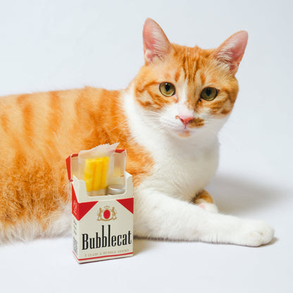 Bubblecat｜Bubble Cigarette Toy
